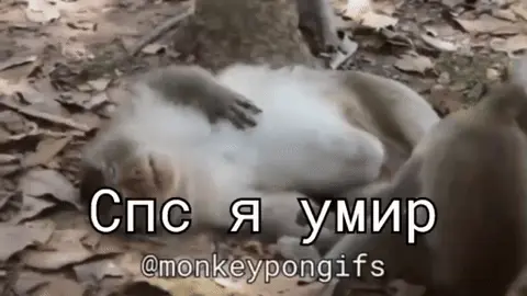 Спс я умир