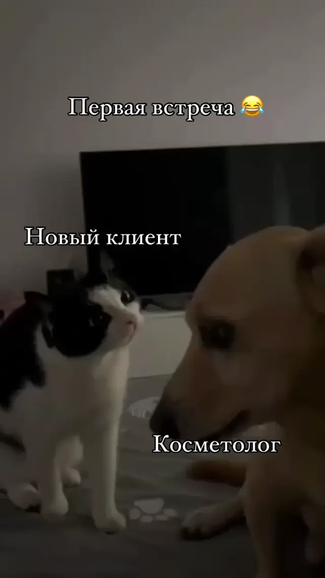 Первая встреча косметолога и нового клиента