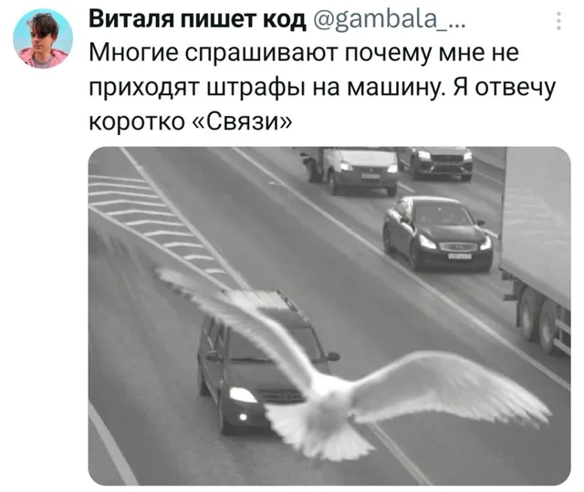 Связи в ГИБДД