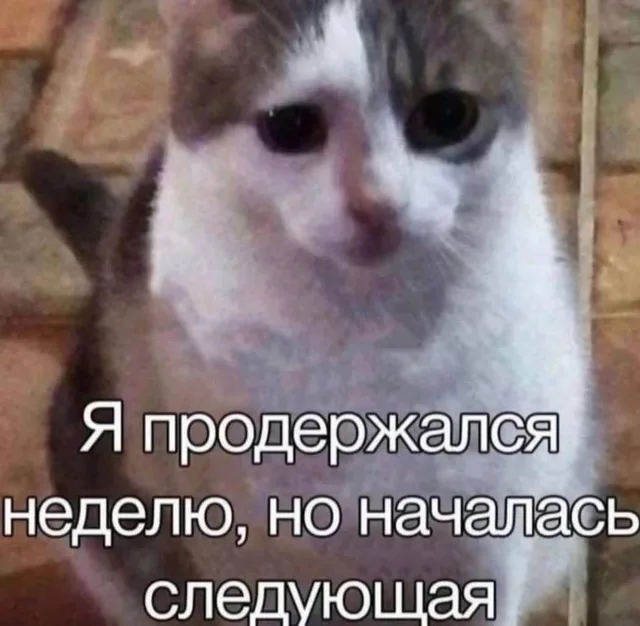 Я продержался неделю, но началась следующая