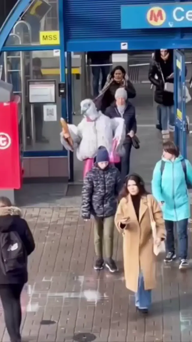 Голубь на стиле