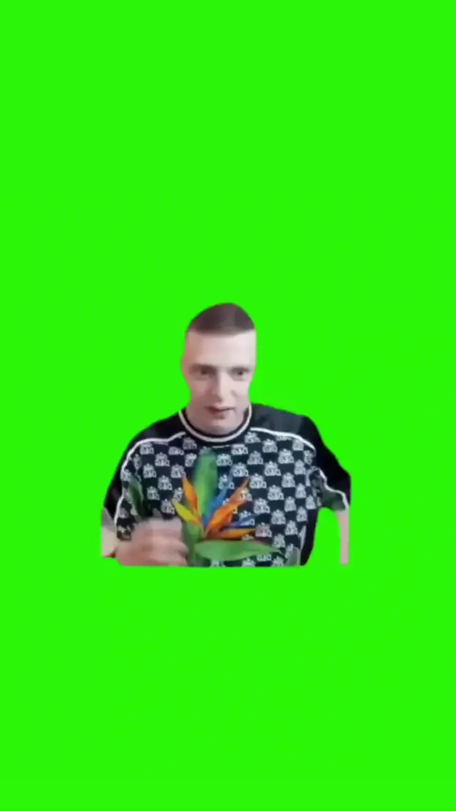 Ебаные овощи, ебучие овощи