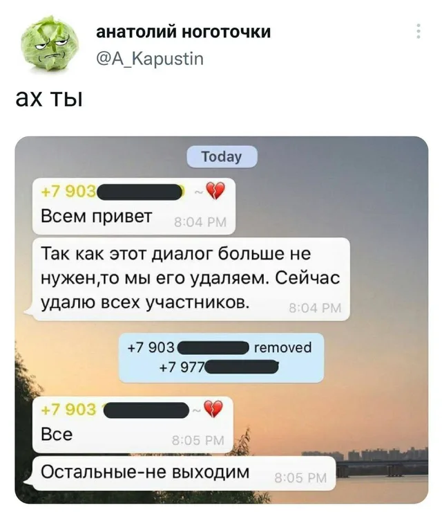 Пользователь удаляет участников из чата, после чего пишет сообщение с требованием не выходить из него — автор поста с ником @A_Kapustin