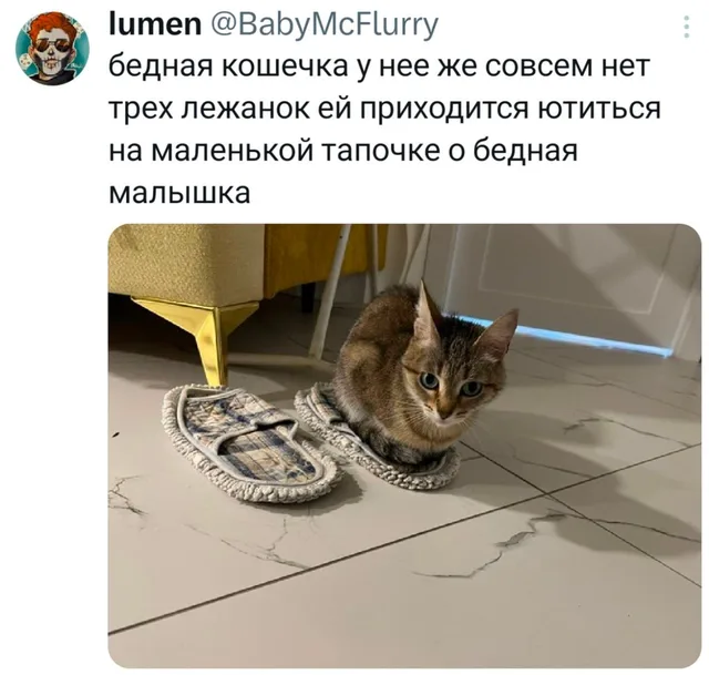 Бедная кошечка ютится на тапочке
