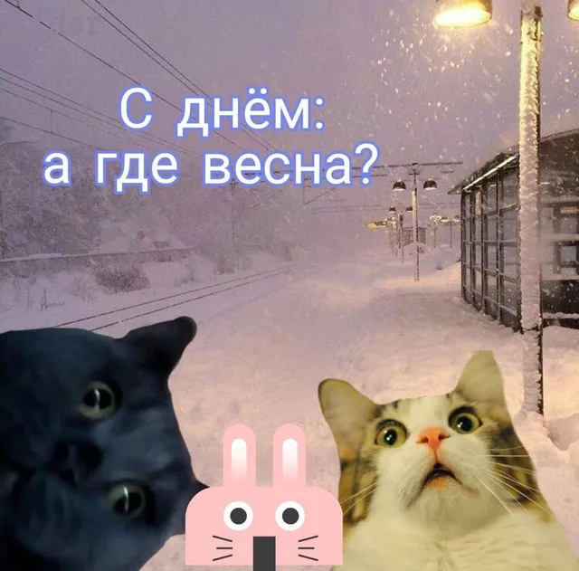 На фоне заснеженной железнодорожной платформы стоят два кота с широко открытыми глазами и розовый кролик — Чёрный кот с удивлённым взглядом,