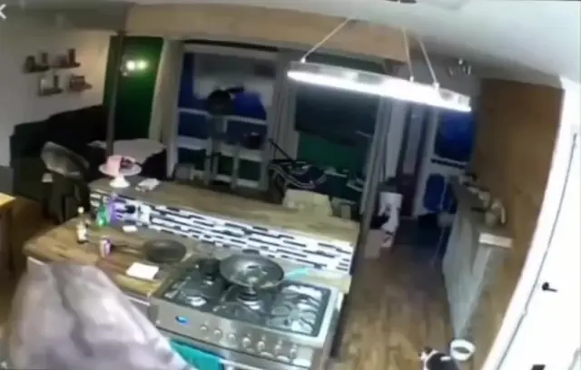 Кот заглянул прямо в душу через камеру