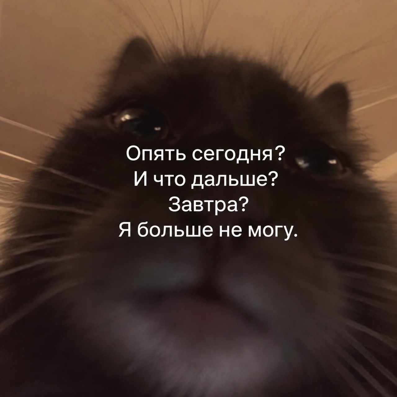 Я больше не могу этот день