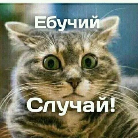 Ебучий случай!