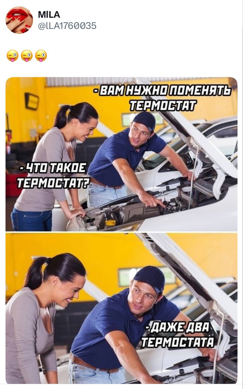 Даже два термостата