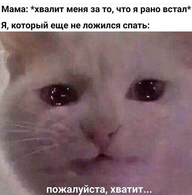 Мама хвалит за ранний подъем