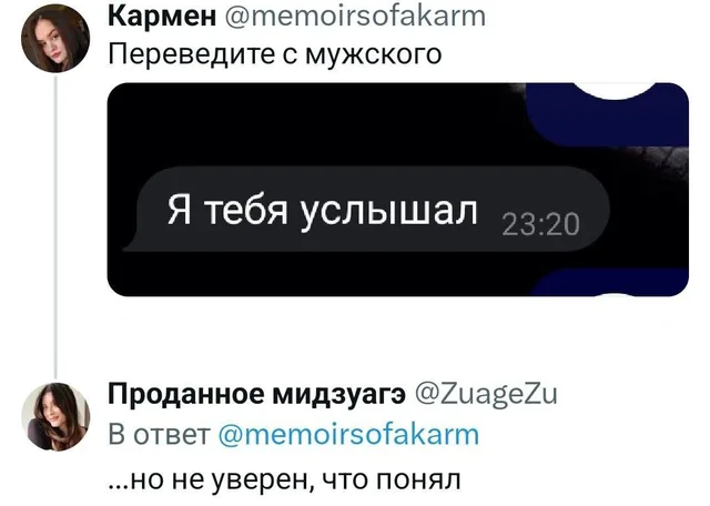 Статичное изображение переписки: сообщение «Я тебя услышал» и ответ на него «...но не уверен, что понял». — автор поста (женщина), автор отв