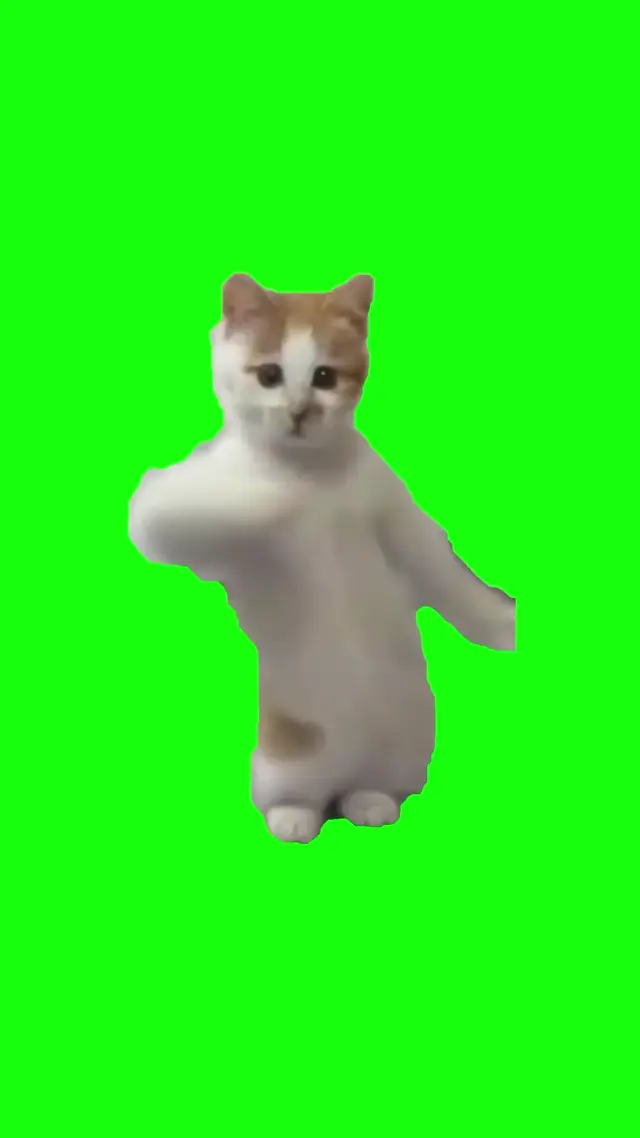 Танцующий кот на зеленом фоне