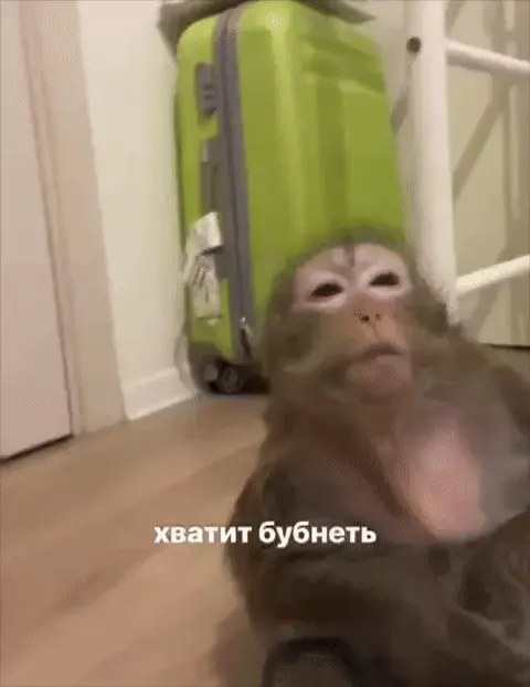 Хватит бубнеть
