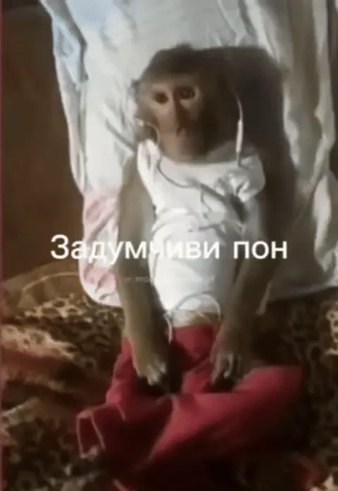 Задумчиви пон