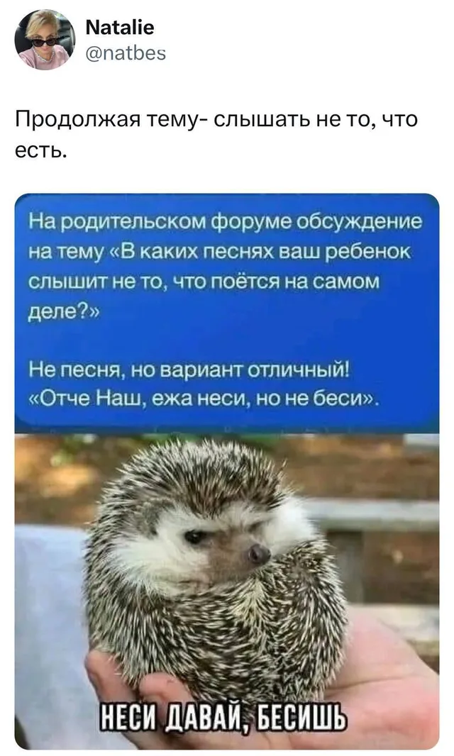 Человек держит ежа на ладони, ёж сидит неподвижно.