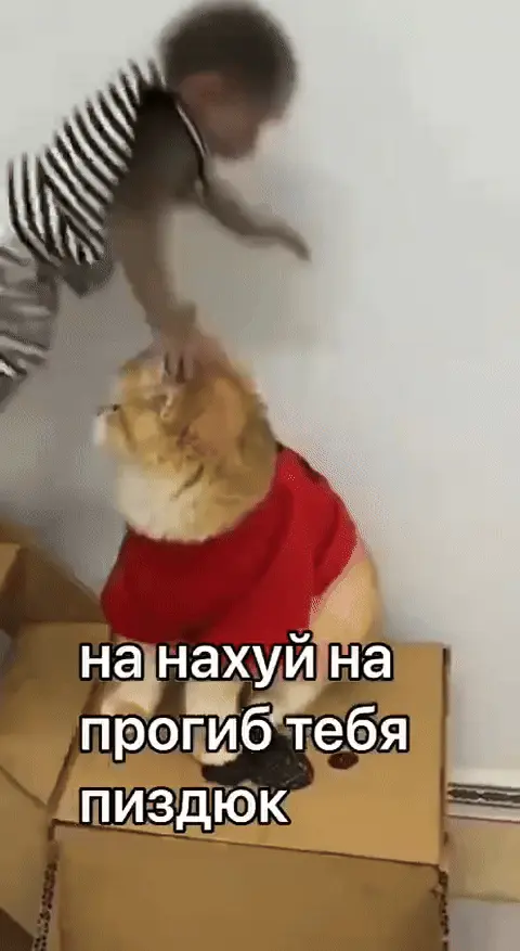 На нахуй на прогиб тебя пиздюк