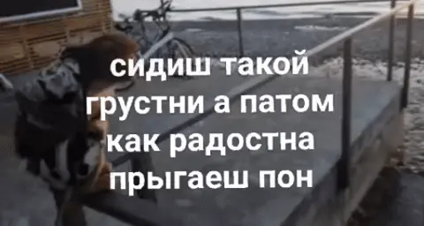 сидиш такой грустни а патом как радостна прыгаеш пон