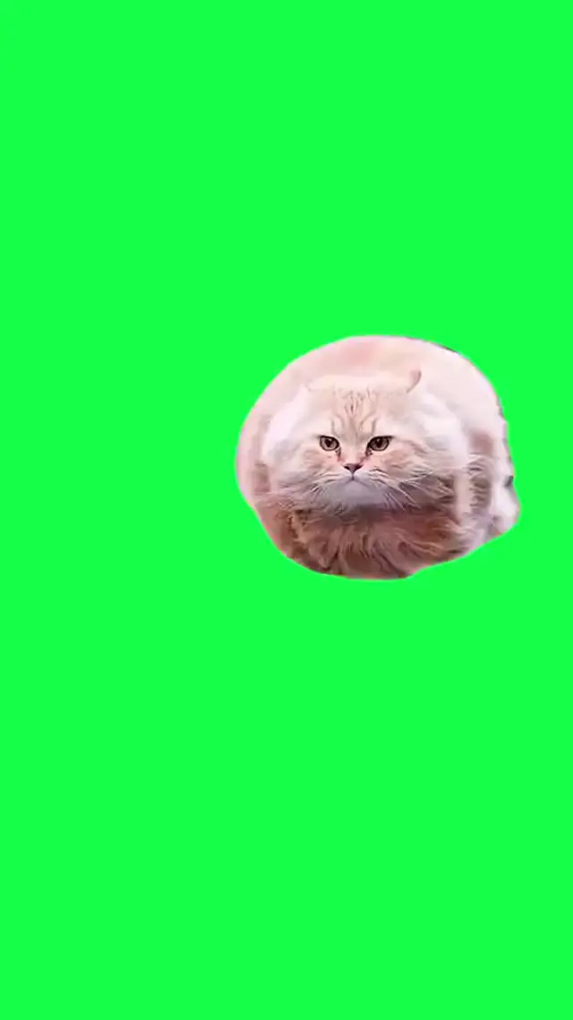 Вращающийся пушистый кот для монтажа