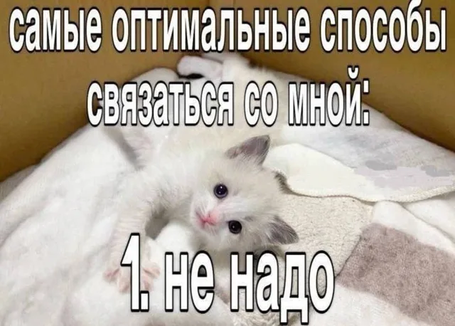 Самые оптимальные способы связаться со мной: 1. не надо