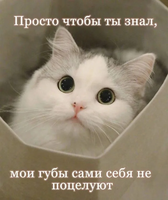 Мои губы сами себя не поцелуют