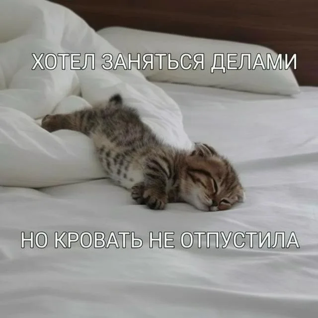 Кровать не отпустила