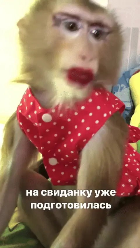 На свиданку уже подготовилась