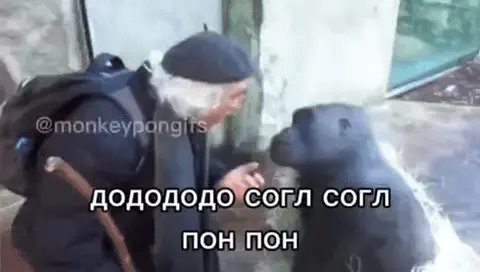 додододо согл согл пон пон