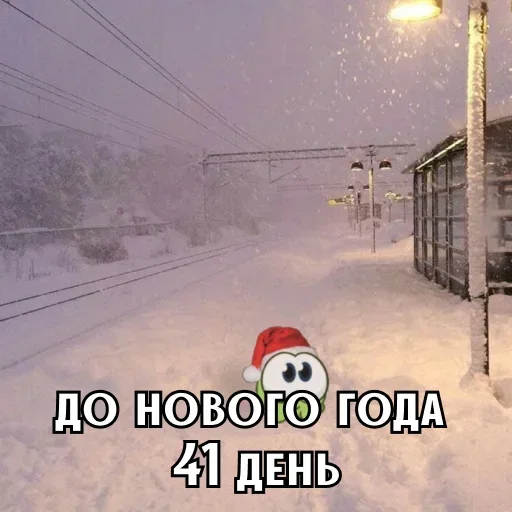 До Нового года 41 день
