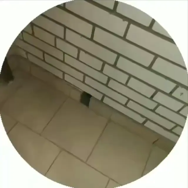 Дырка для котов на высоте