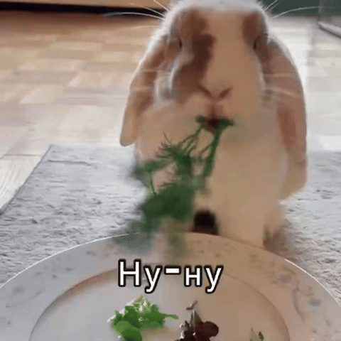 Кролик ест укроп с надписью Ну-ну