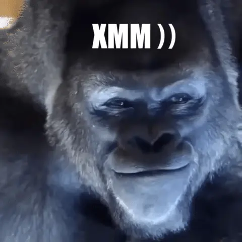 Горилла чешет подбородок с надписью ХММ ))