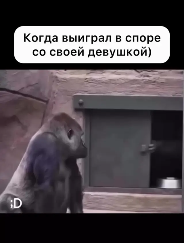 Когда выиграл в споре со своей девушкой