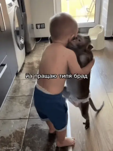 йа пращаю типя брад