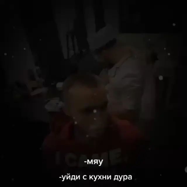 -Мяу -Уйди с кухни дура