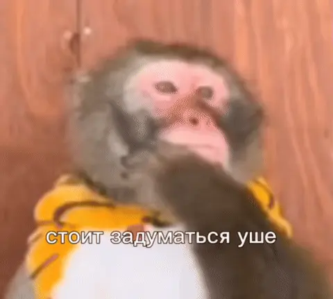 Обезьяна чешет подбородок: стоит задуматься уше