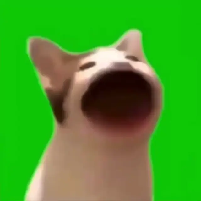 Мемный кот Pop Cat на зеленом фоне