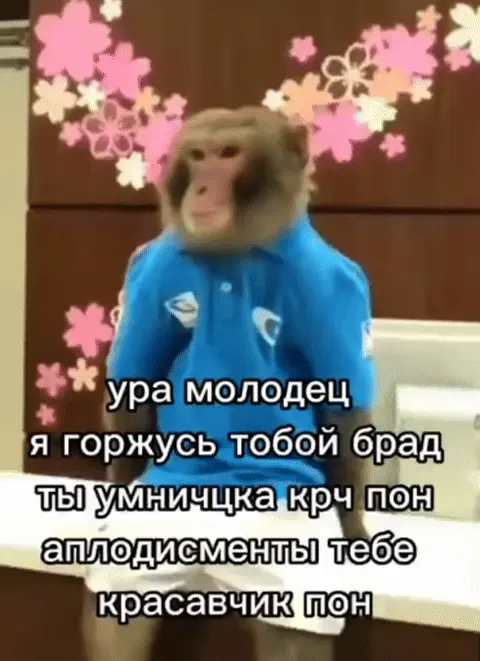 Обезьяна хлопает в ладоши
