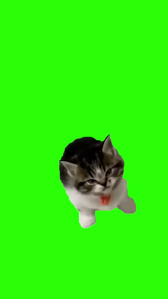 Кашляющий котенок на хромакее
