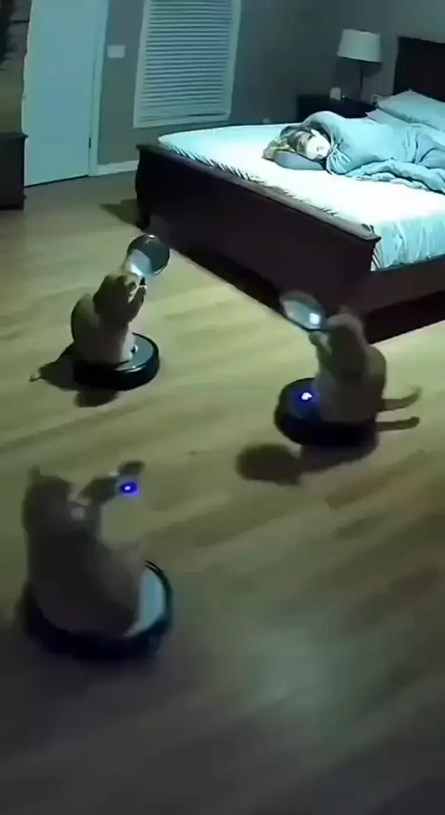 Ночная дискотека на пылесосах