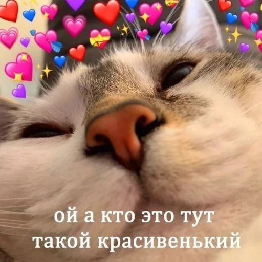 ΠΠΈΠ»ΡΠΉ ΠΊΠΎΠΌΠΏΠ»ΠΈΠΌΠ΅Π½Ρ ΠΎΡ ΠΊΠΎΡΠ°