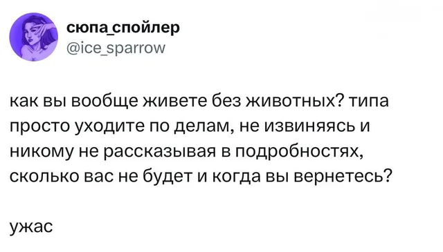 Как вы вообще живете без животных?