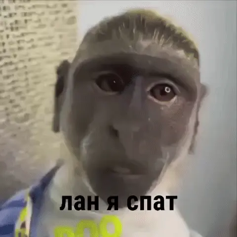 Лан я спат