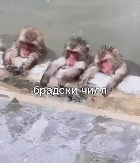 Брадски чилл в горячем источнике