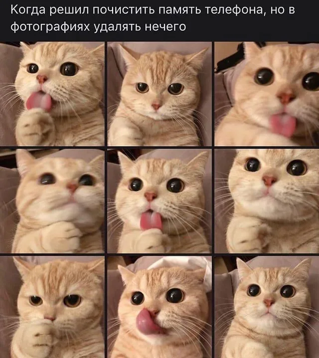 Когда в телефоне удалять нечего