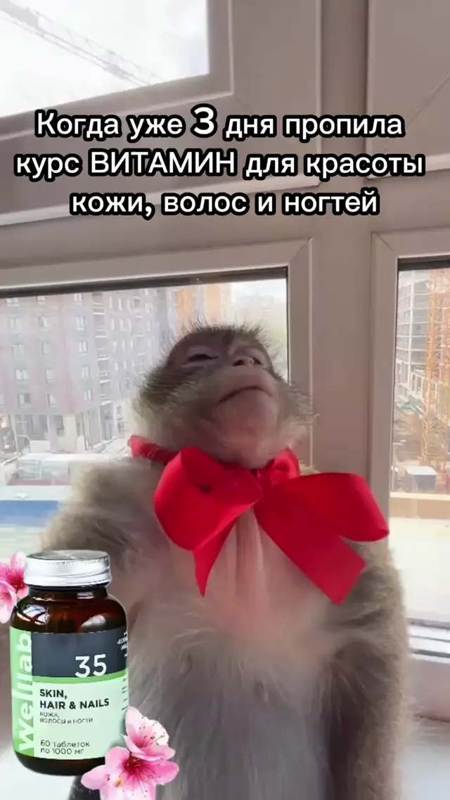 Обезьяна хвастается красотой после витаминов