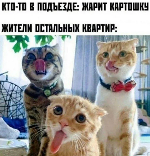 Запах жареной картошки в подъезде