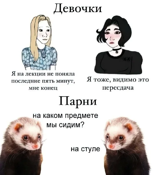 Статичное изображение, разделенное на две смысловые зоны. — две рисованные девушки