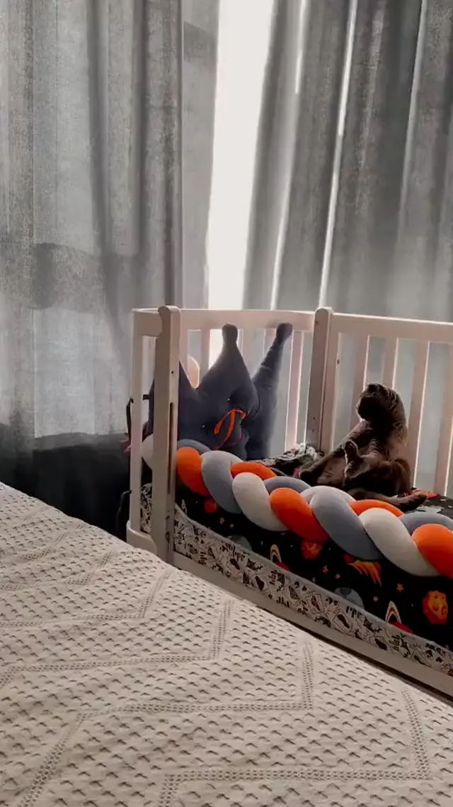 Кот в шоке от ребенка