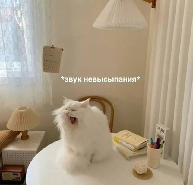 Типичное утро после бессонной ночи