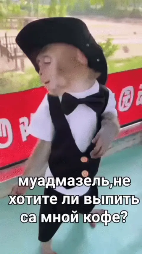 Обезьяна в шляпе приглашает на кофе